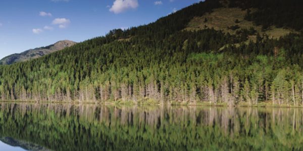 Reflet d’un paysage forestier dans un lac